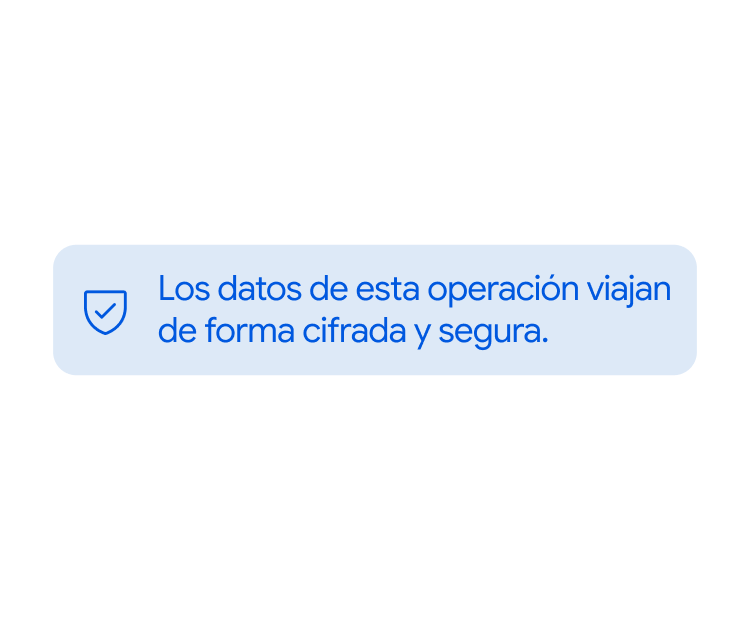 Los datos de esta operación viajan de forma cifrada y segura.